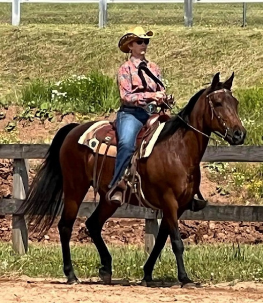 Tammy showing Sarah, a registered Rocky Mountain horse