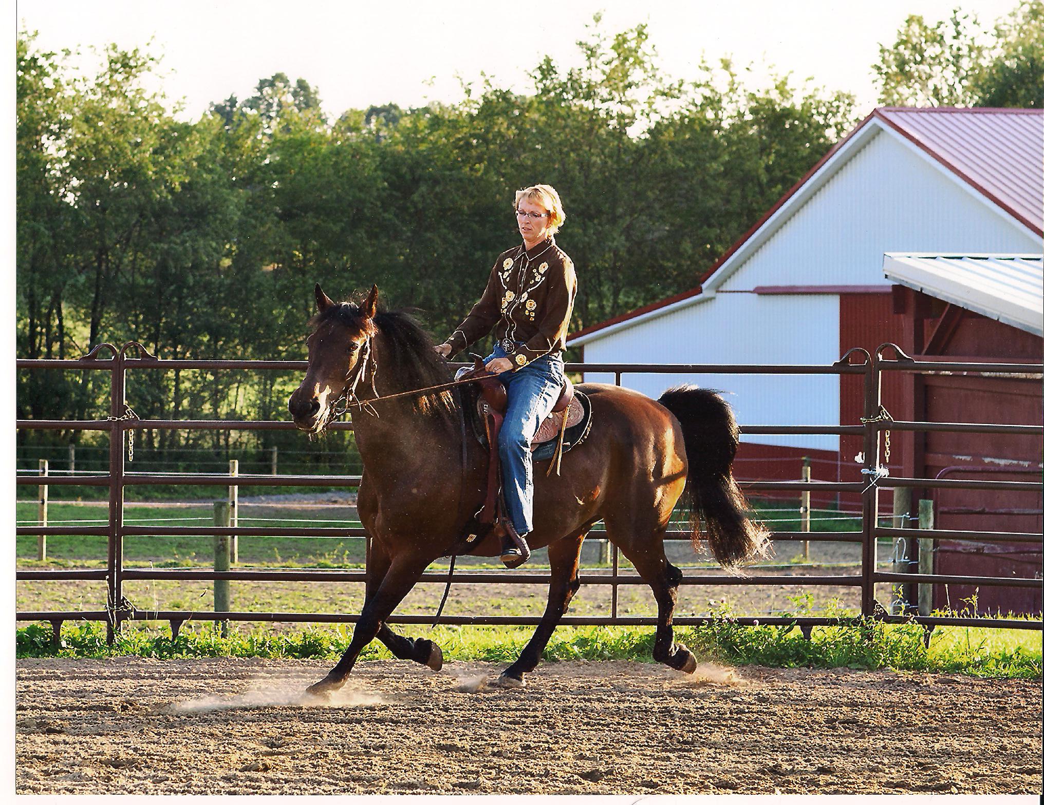 Arena work with Chance