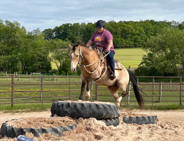 A favorite obstacle