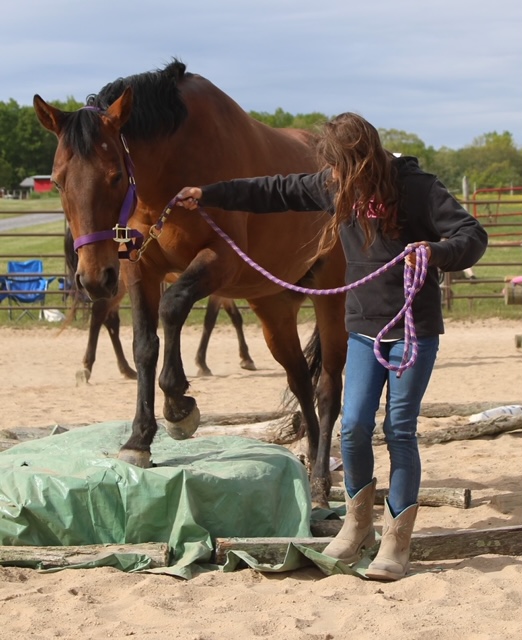Fun clinics to build trust