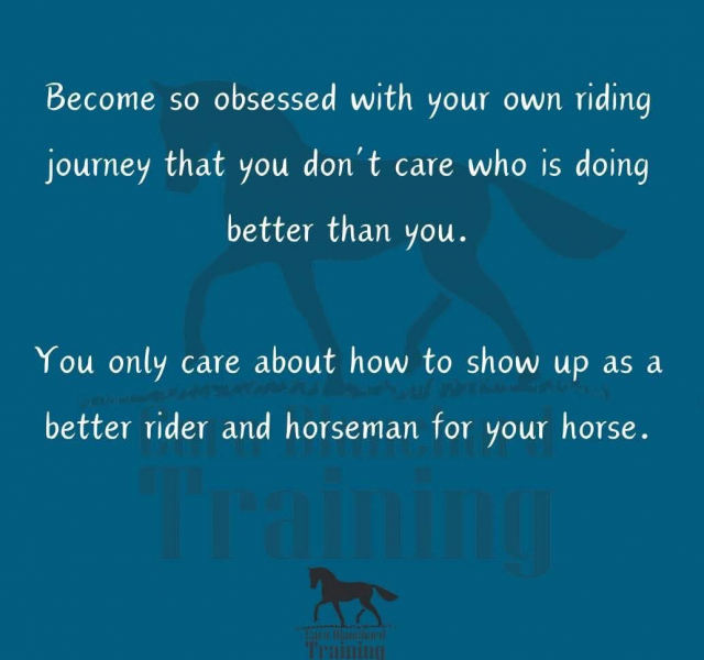 Good horse advice